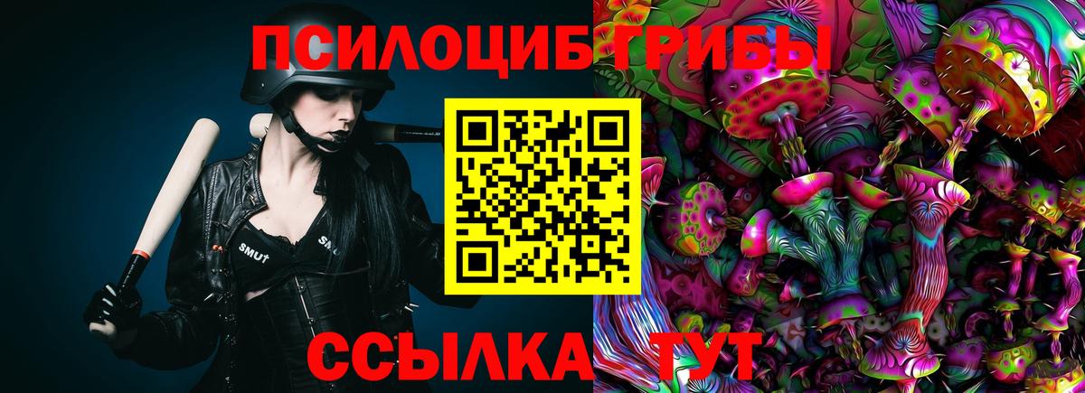 Галлюциногенные грибы Cubensis Лыткарино