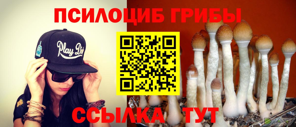 Псилоцибиновые грибы мухоморы  Вход с VPN  Лыткарино 