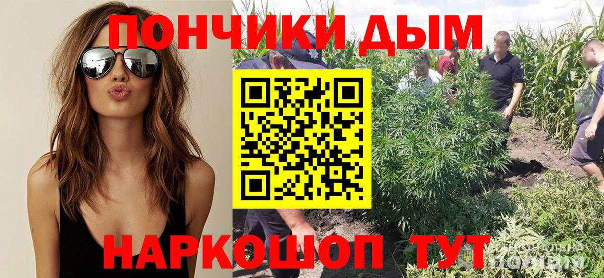 Шишки марихуана марихуана Лыткарино